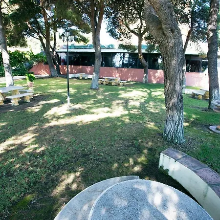 Monko Baobab * Torremolinos